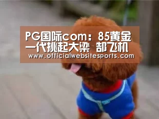PG国际com:85黄金一代挑起大梁 郜飞机没有放飞国足胜利(图1) PG国际com官网